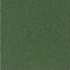 Pass an.bianca 80x120 2,4mm Verdone